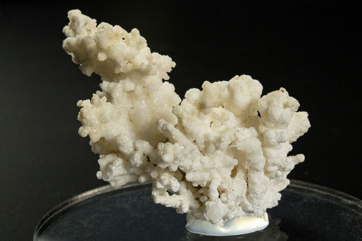 Intricate, Fluorescent Aragonite Formation - Nevada #327496